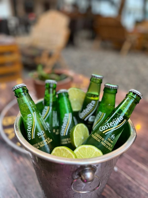 COSTEÑITA